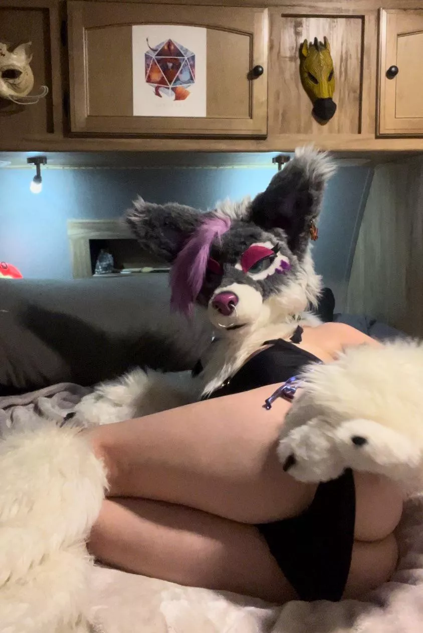 Won’t you join me in my den? 