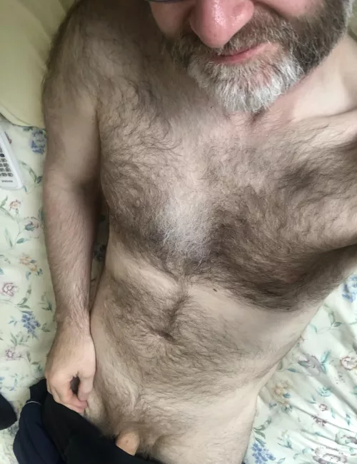 [48] Hairy Silver Fox