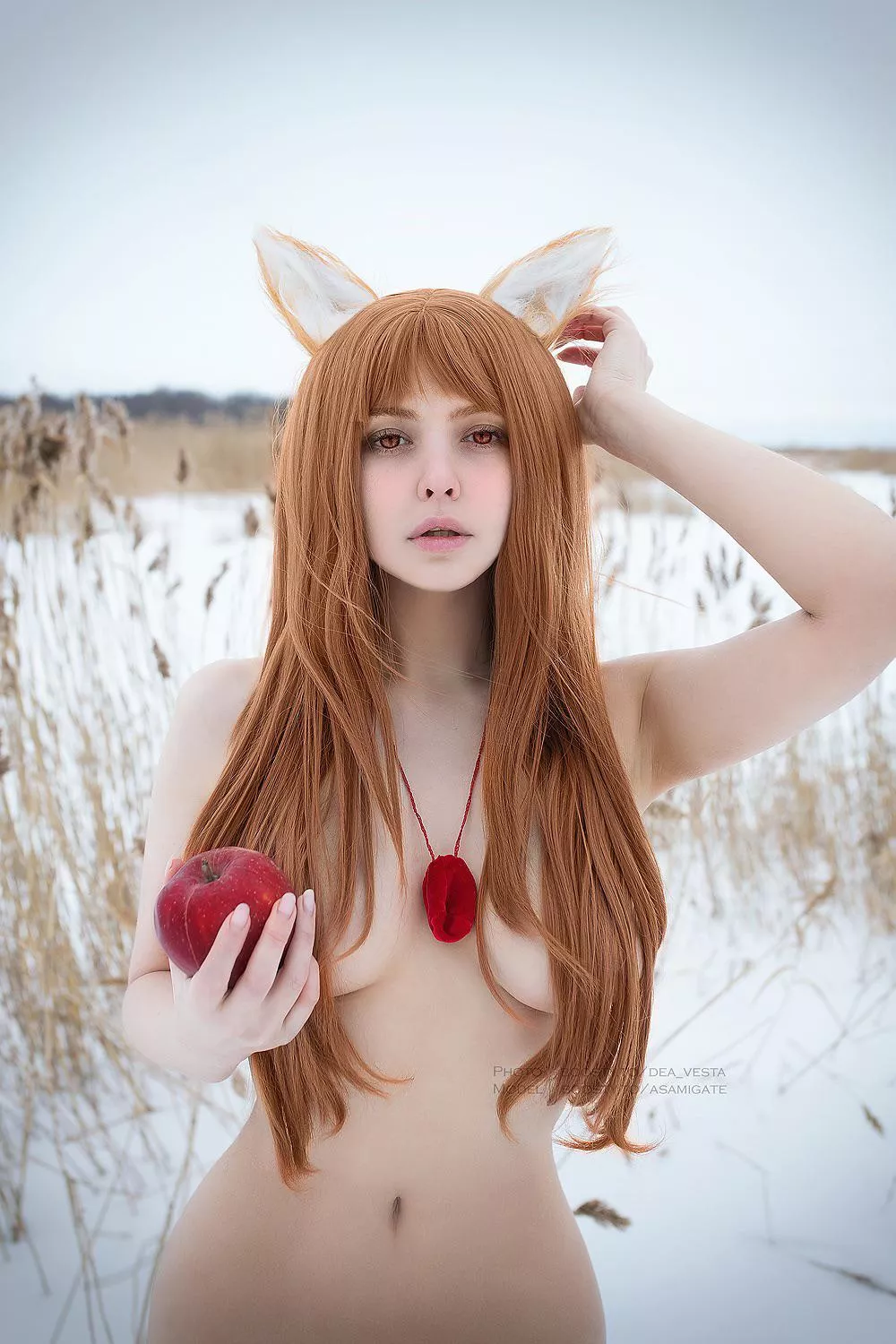 Holo (AsamiGate) [Spice & Wolf]