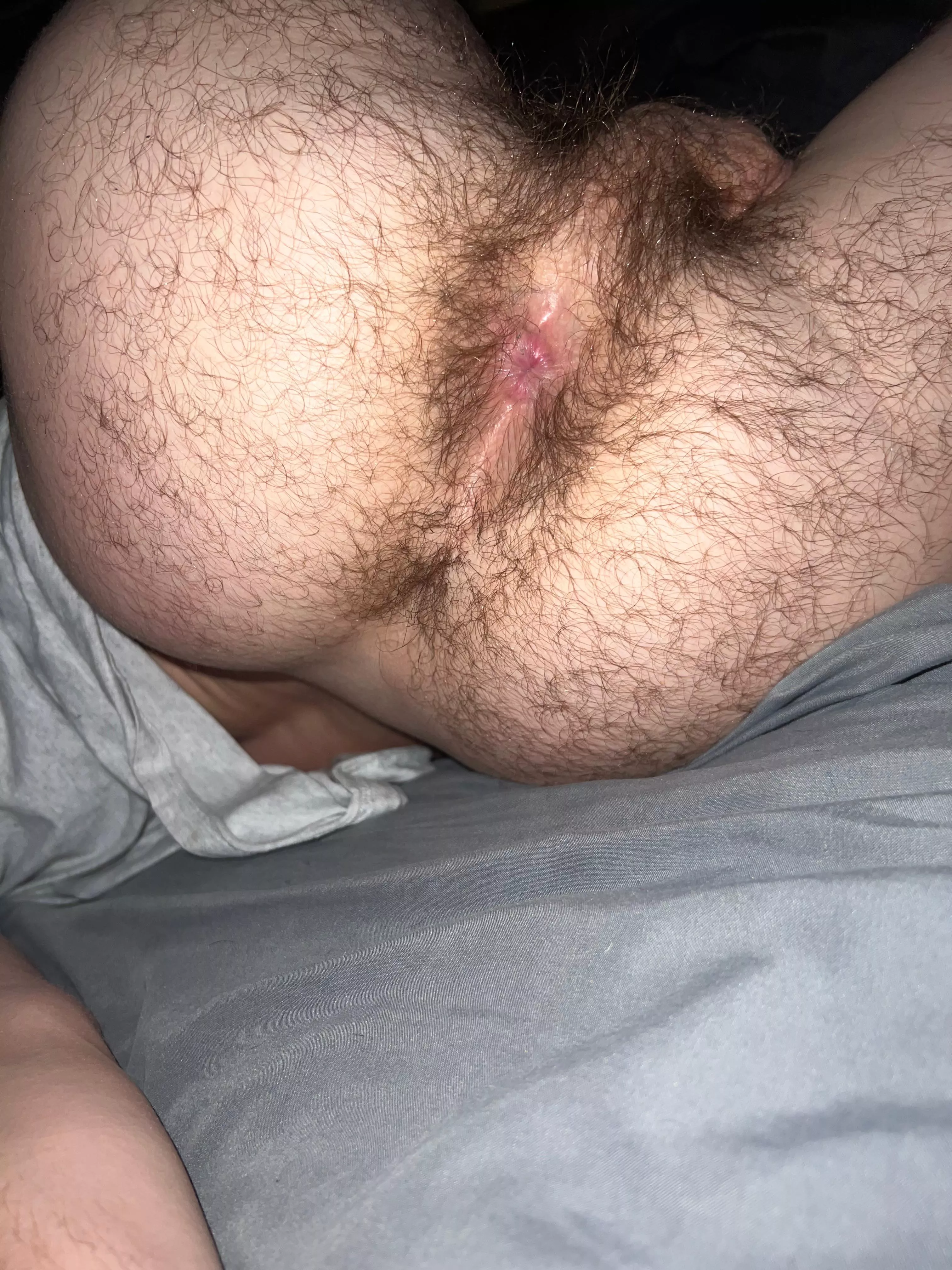 Ass is more hairy than ever 