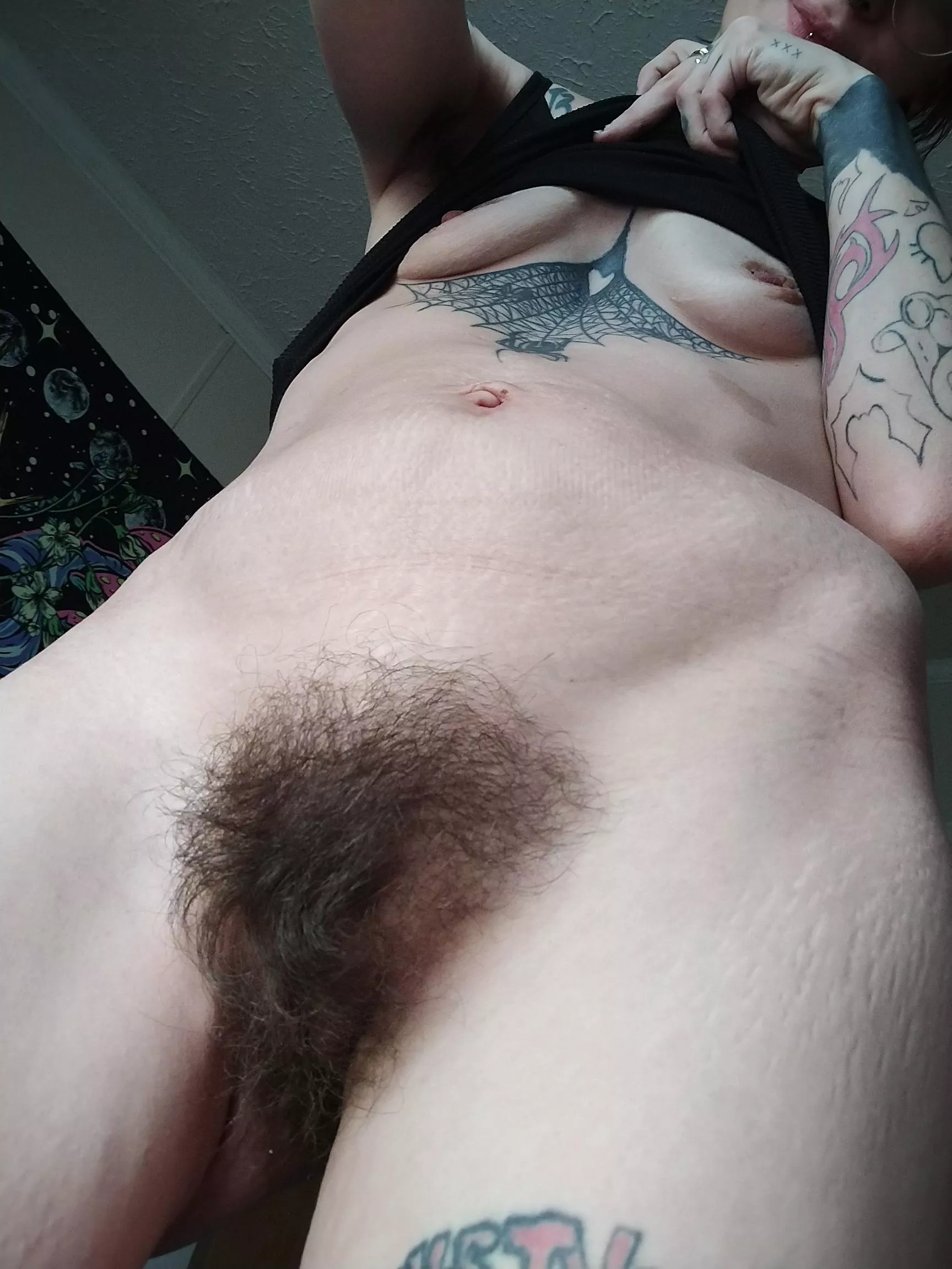 Fluffy dark bush to play with 