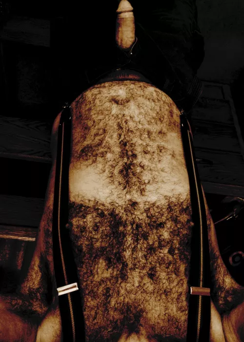 From the Wayback Machine