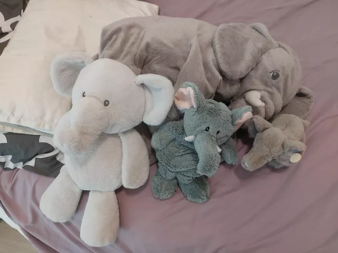 I love my elephants 💓