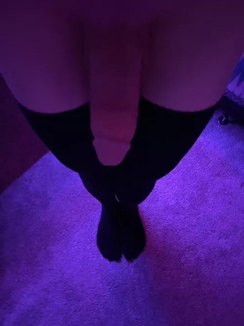 i want to put it in something 