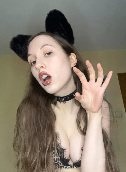 i'm not a good kitten