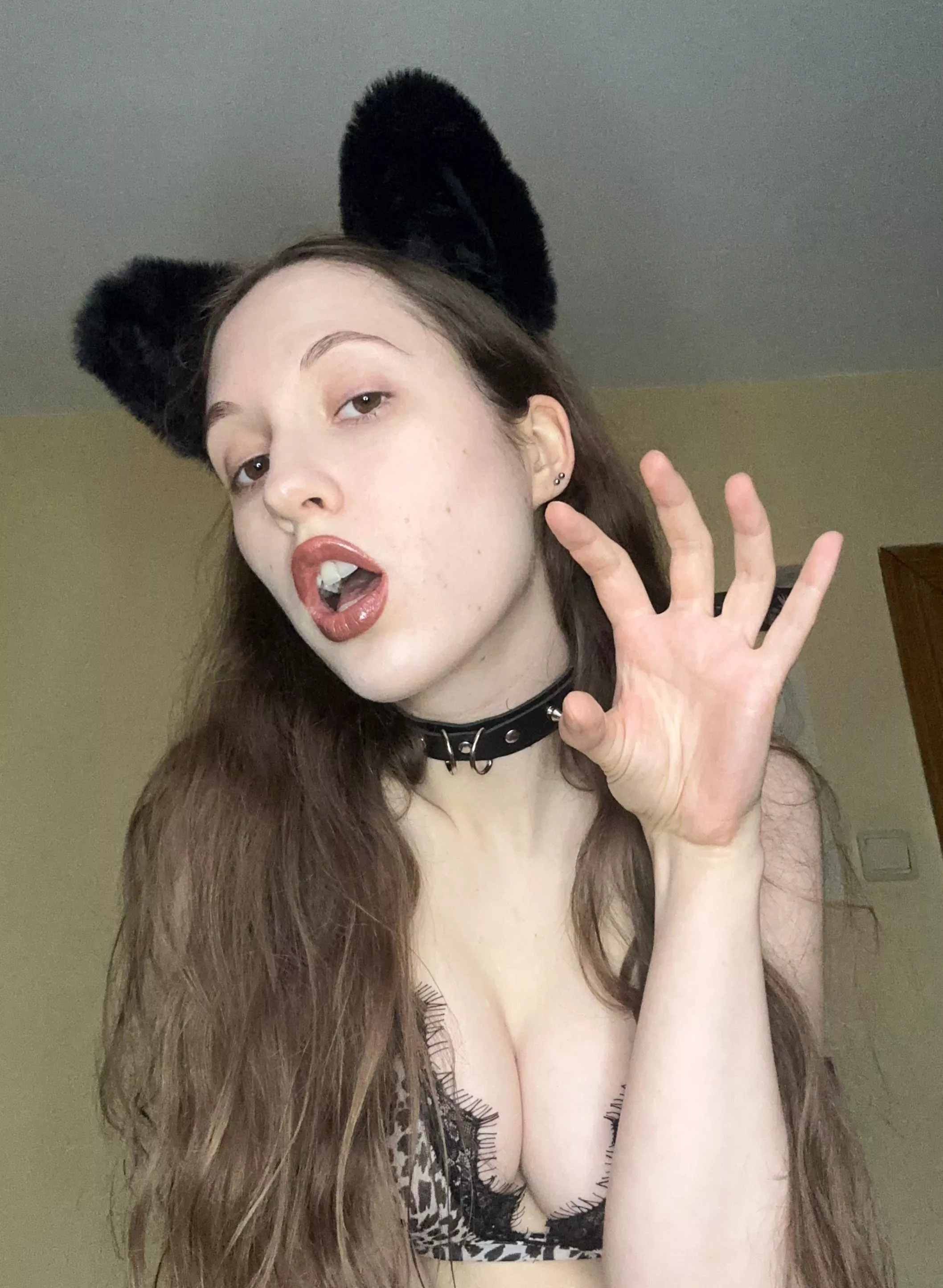 i'm not a good kitten