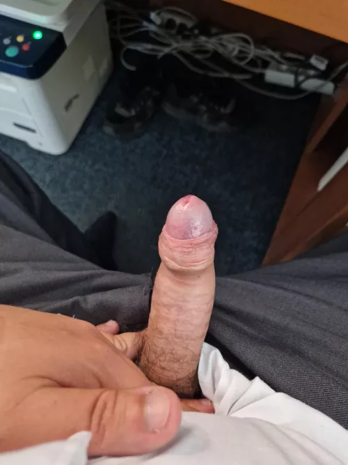 Looking for guys who i can tell how would i suck them and they show me how they cum 