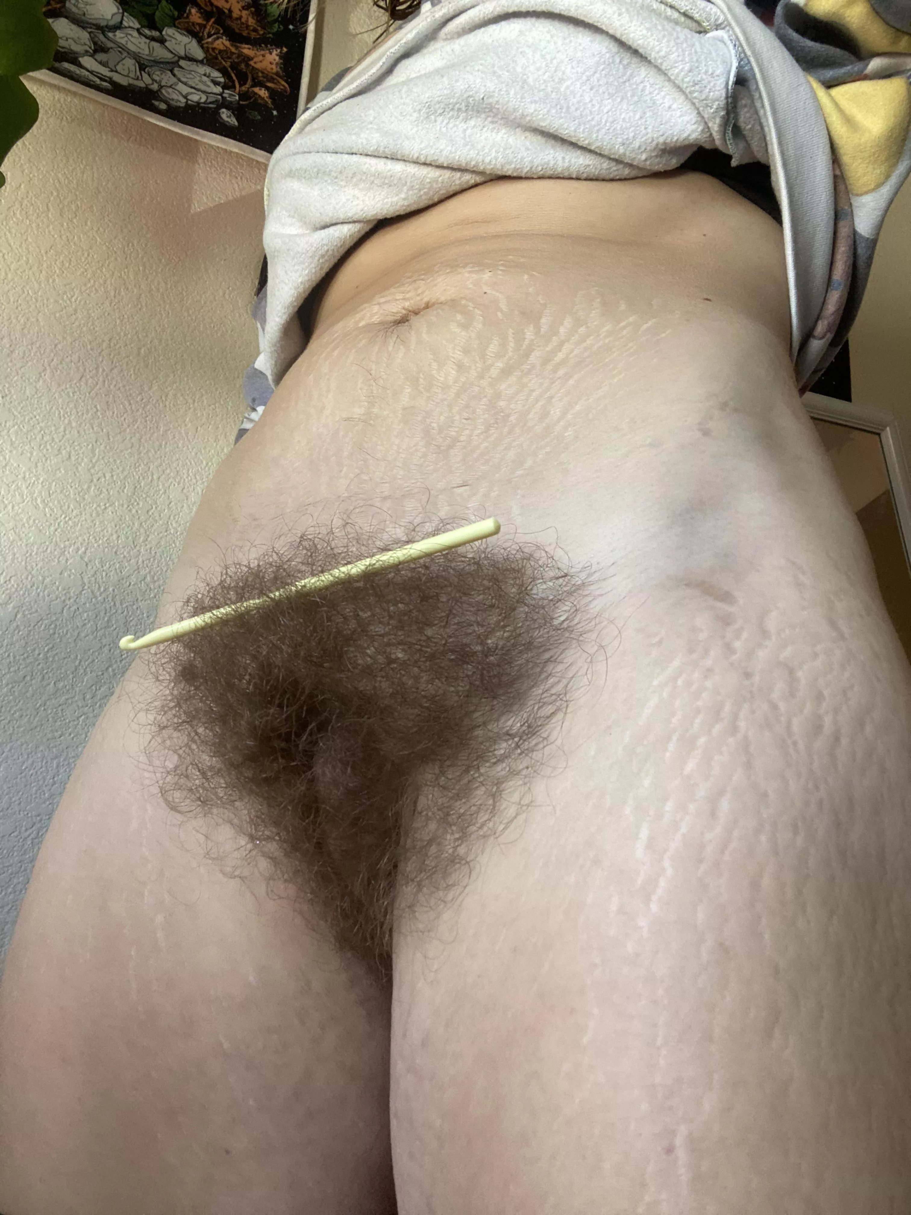 My bush is so huge I can balance things on it now 🫣