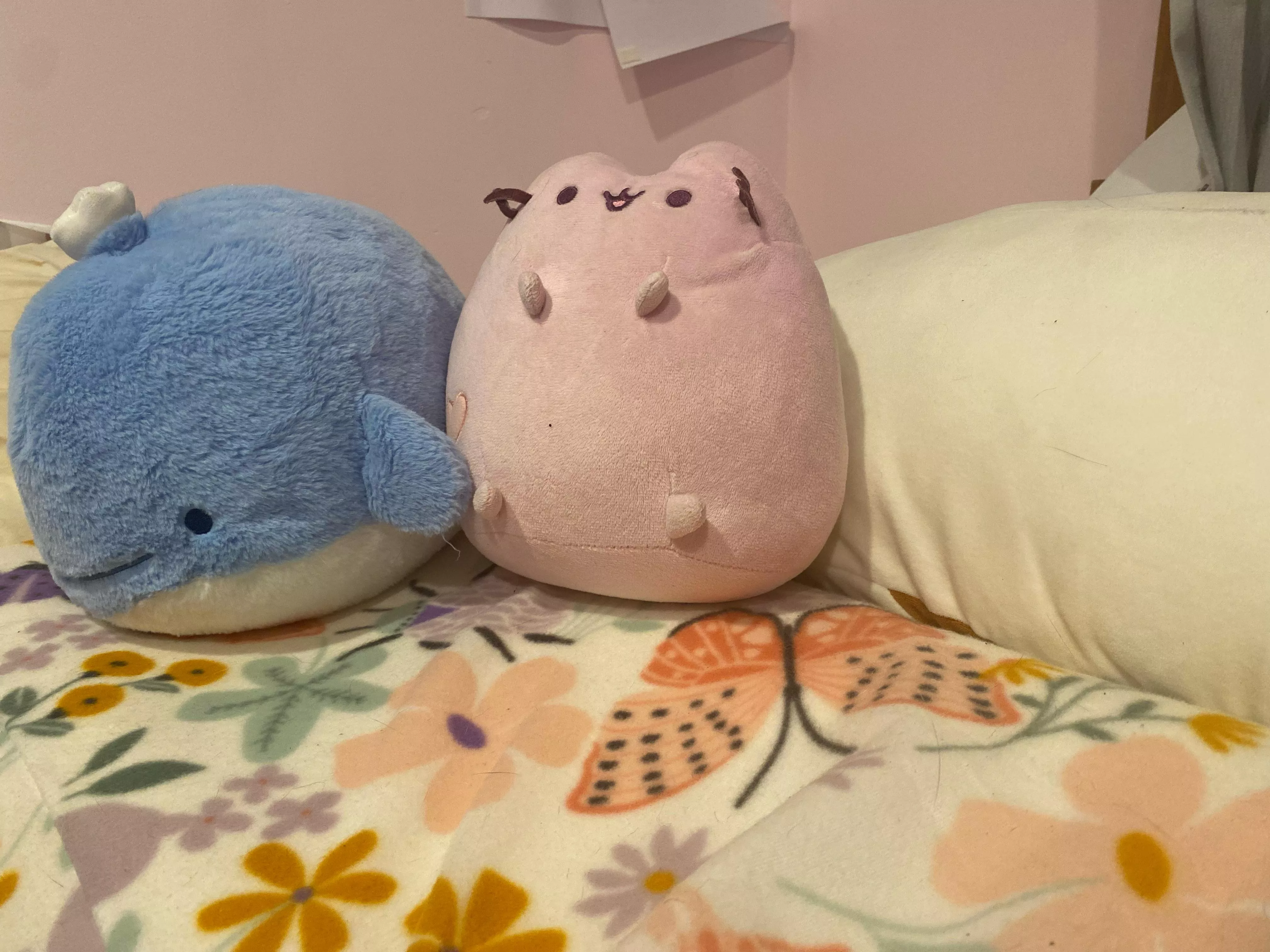 new plushies for ma birthday!!