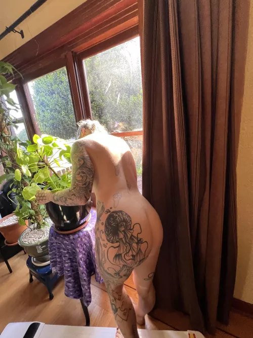 Plants and ass are all well 