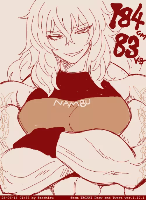 Riko Sena [@techiru]