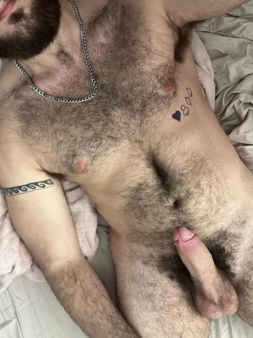 Wanna ride my hard hairy cock?