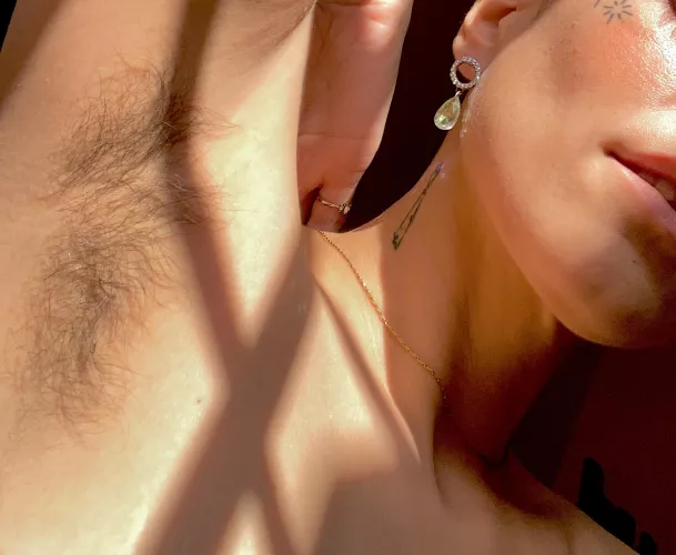 would you like to sniff them?