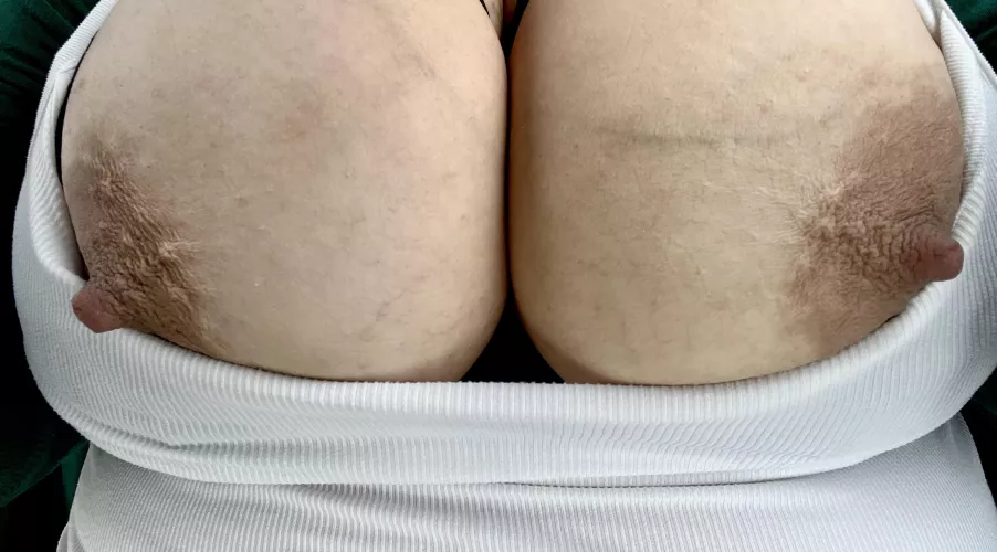 Big veiny tits that need to be sucked