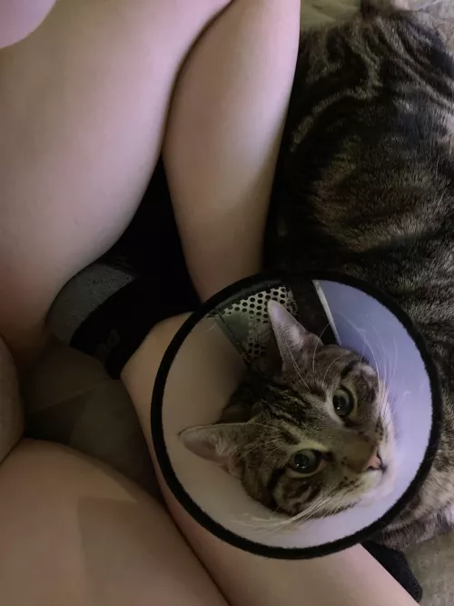 Chillin with my kitty, poor guy hurt himself
