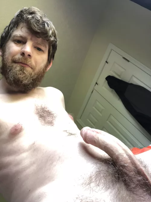 Good morning (wood)!