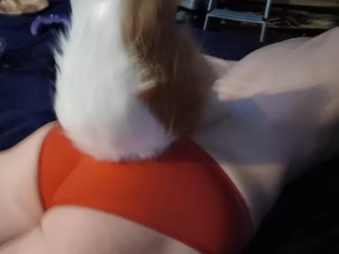 How does it look I'm a femboy sub