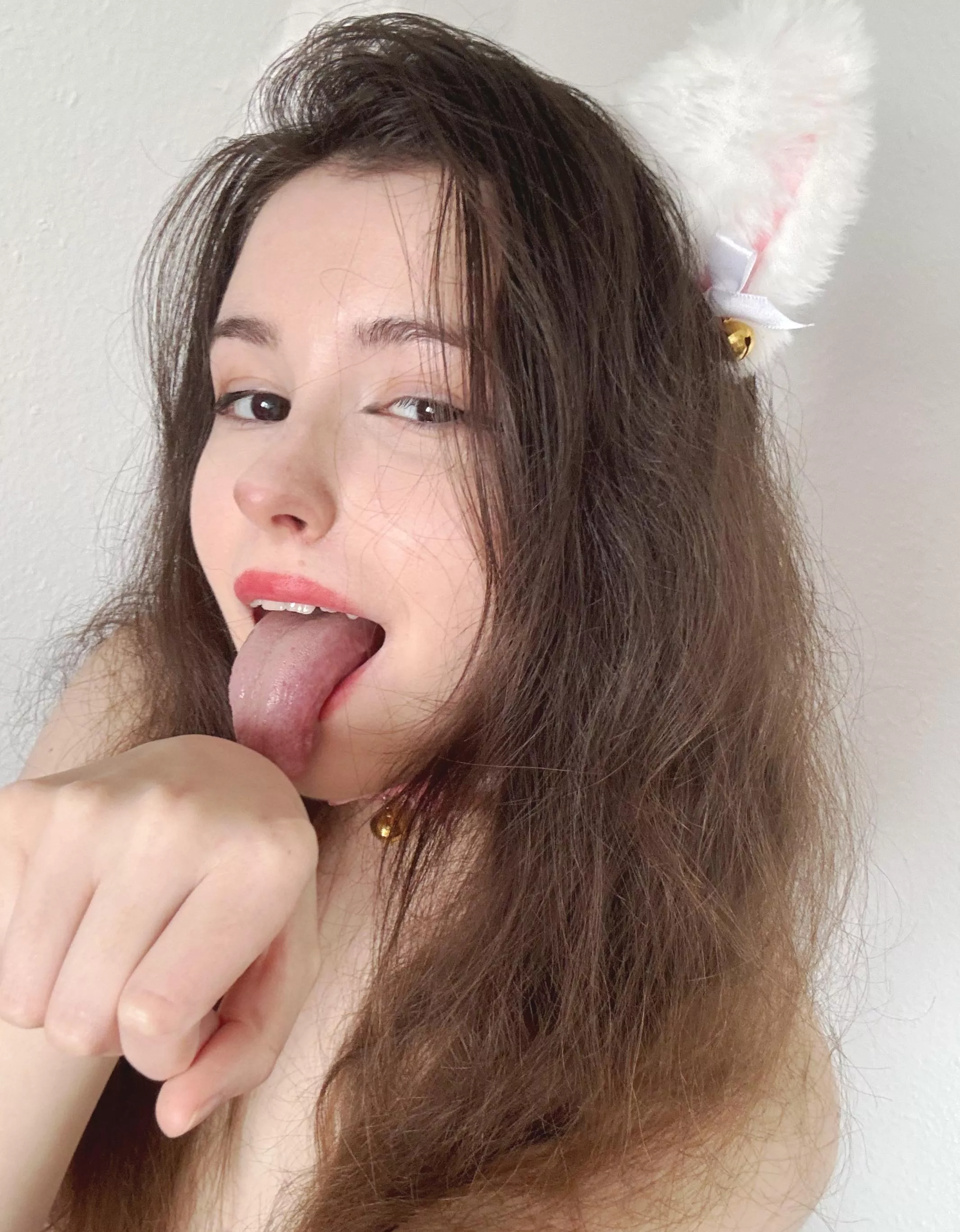 Let the cat take you to Wonderland