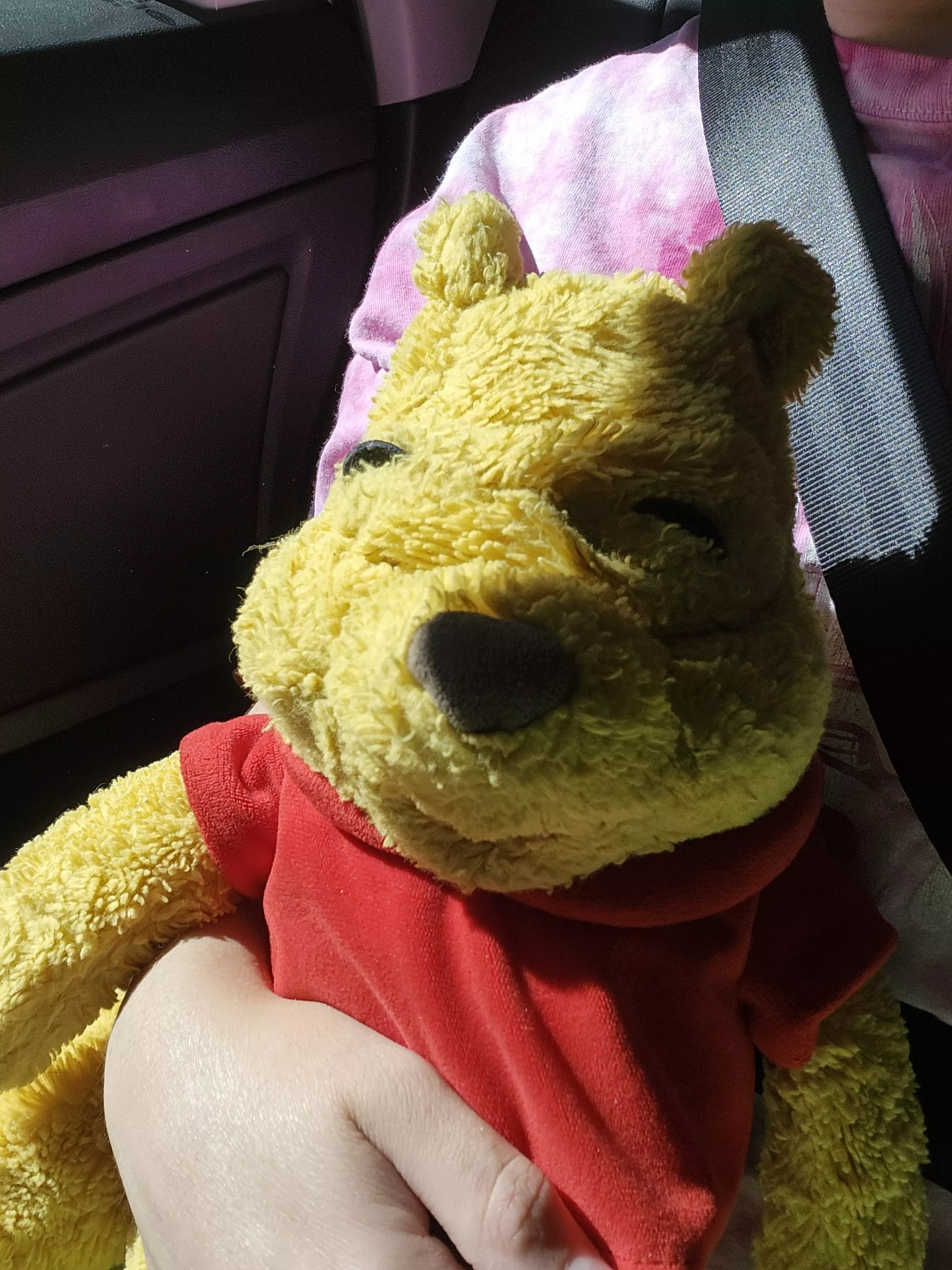 ⋆˙ ִֶָ ࿐ 𖹭 Pooh and I