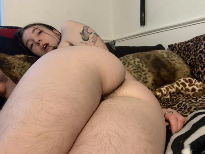 Would you wors[h]ip this hairy ass 🍑