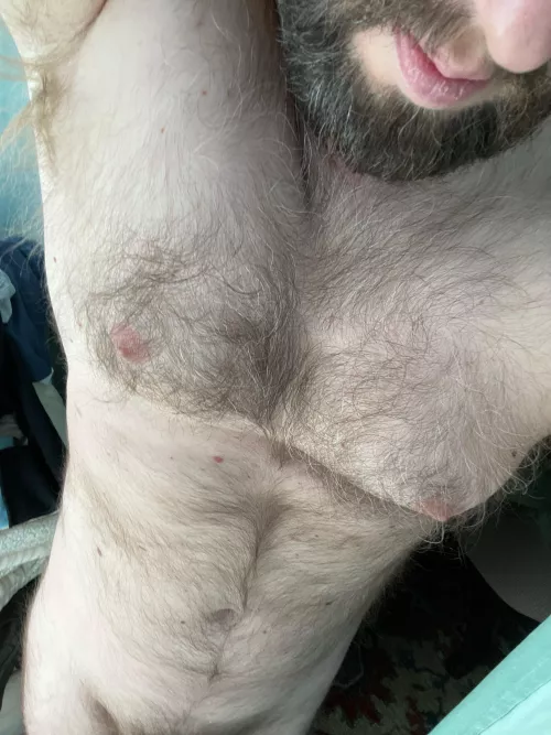 40m Looking for other hairy men to jerk with. Hit me up.