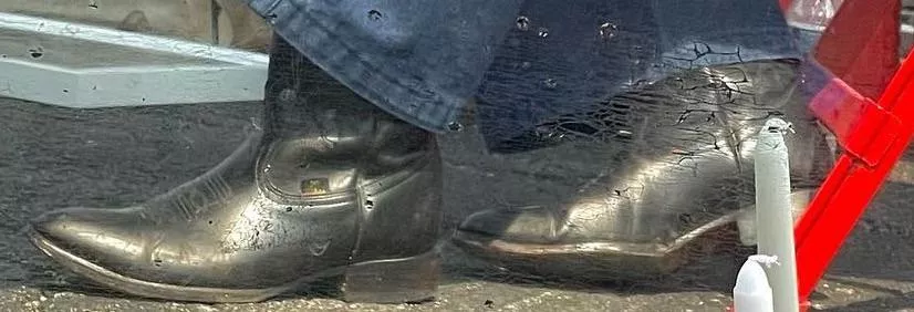 does anyone know these :3