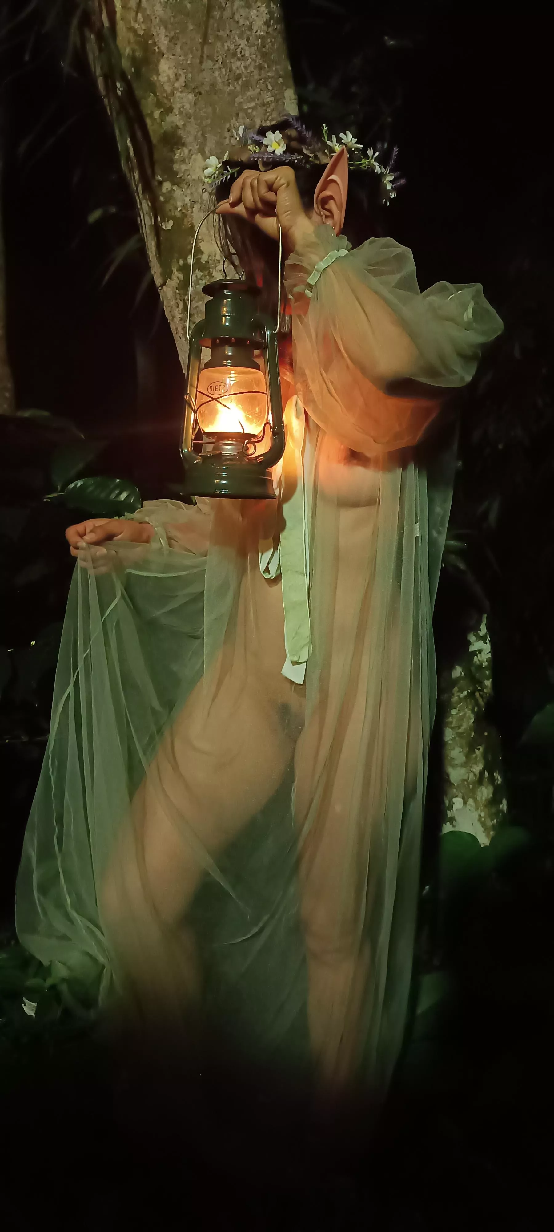 [F] Going to a secret party in Rivendell