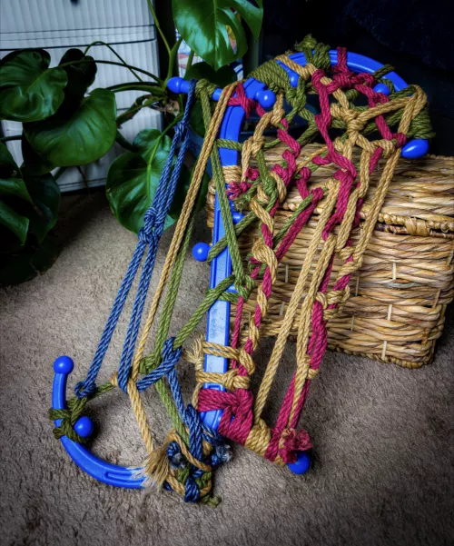 Further studies with the Back Buddy