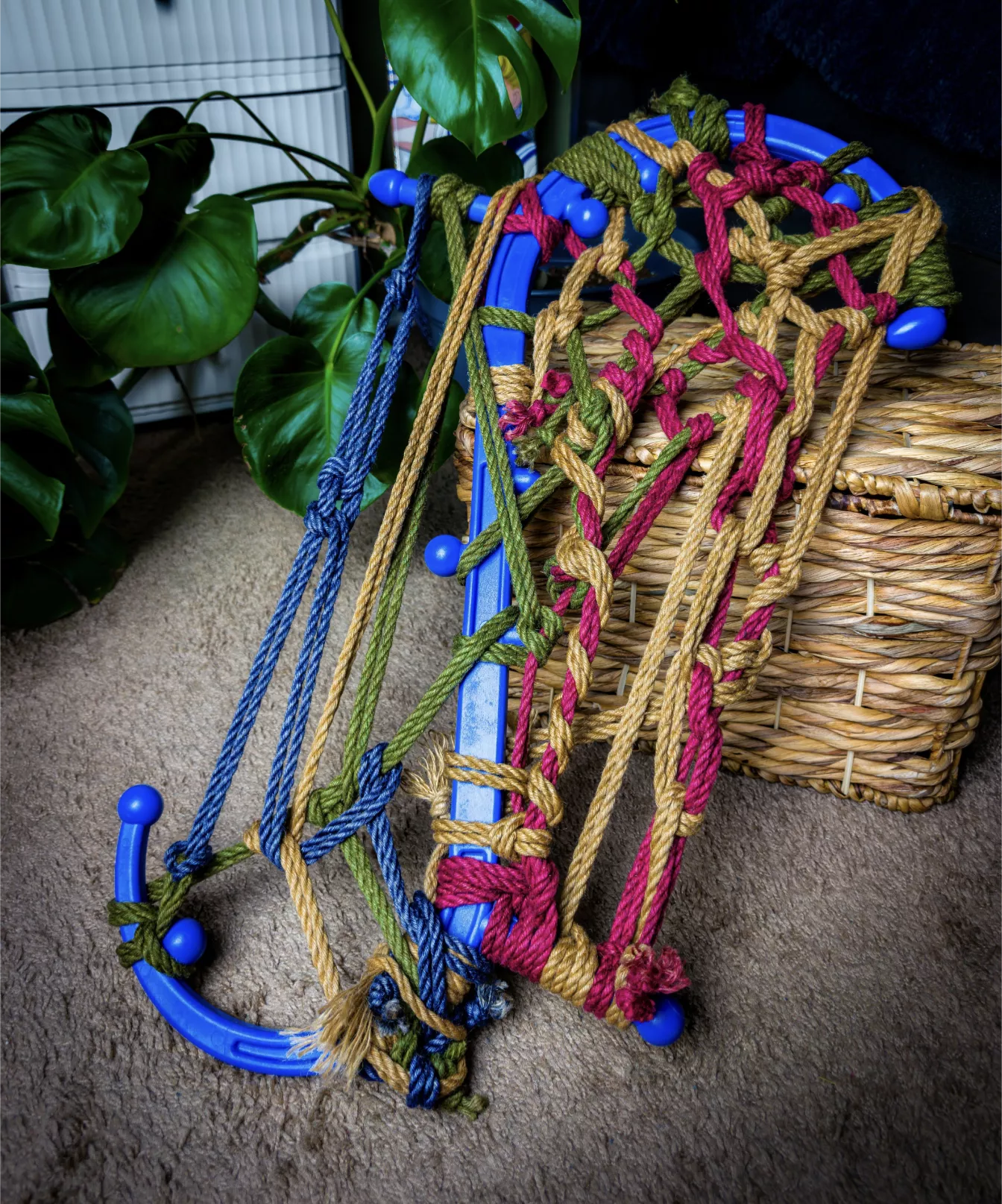 Further studies with the Back Buddy