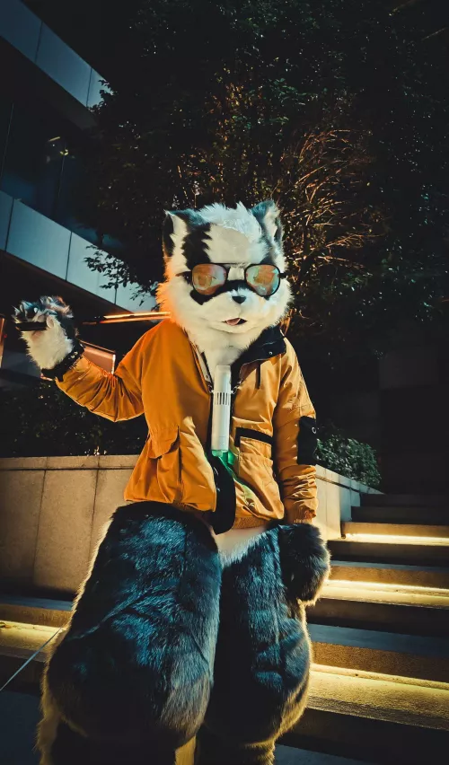 I can't live without my sunglasses anymore.