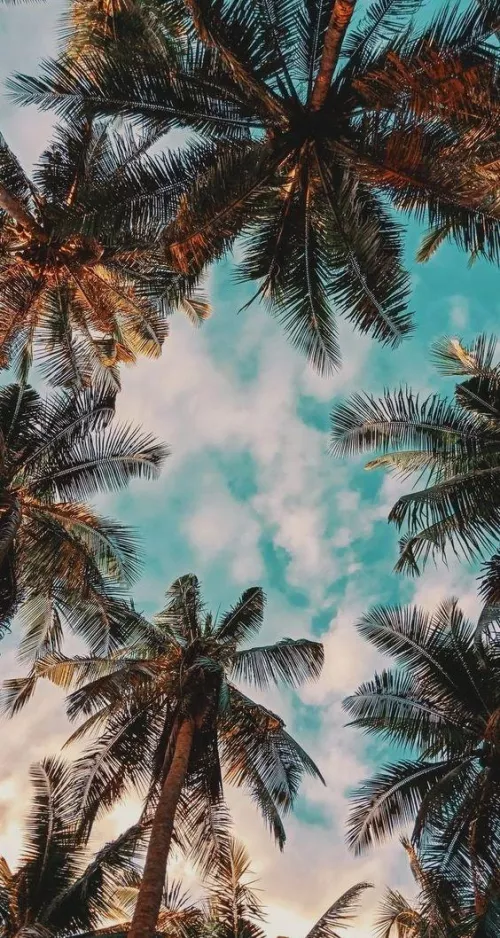 Living on island time