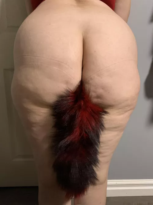 My fox tail 