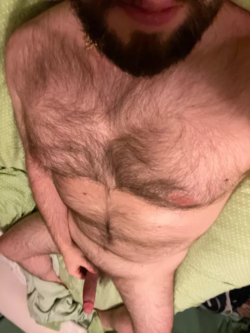 [40] Looking for other hairy men to jerk with. Hit me up.