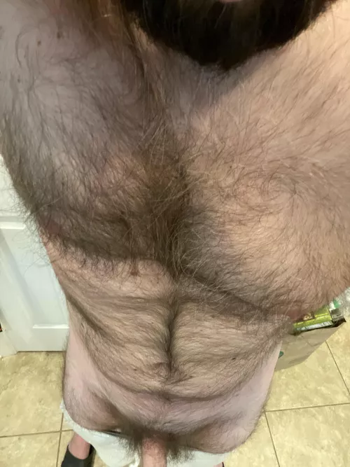 40m Looking for other hairy men to jerk with. Hit me up.
