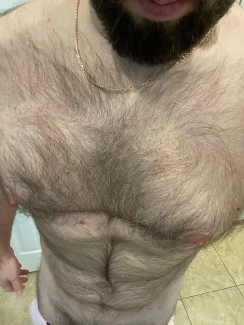 [40] Looking for other hairy men to jerk with. Hit me up.
