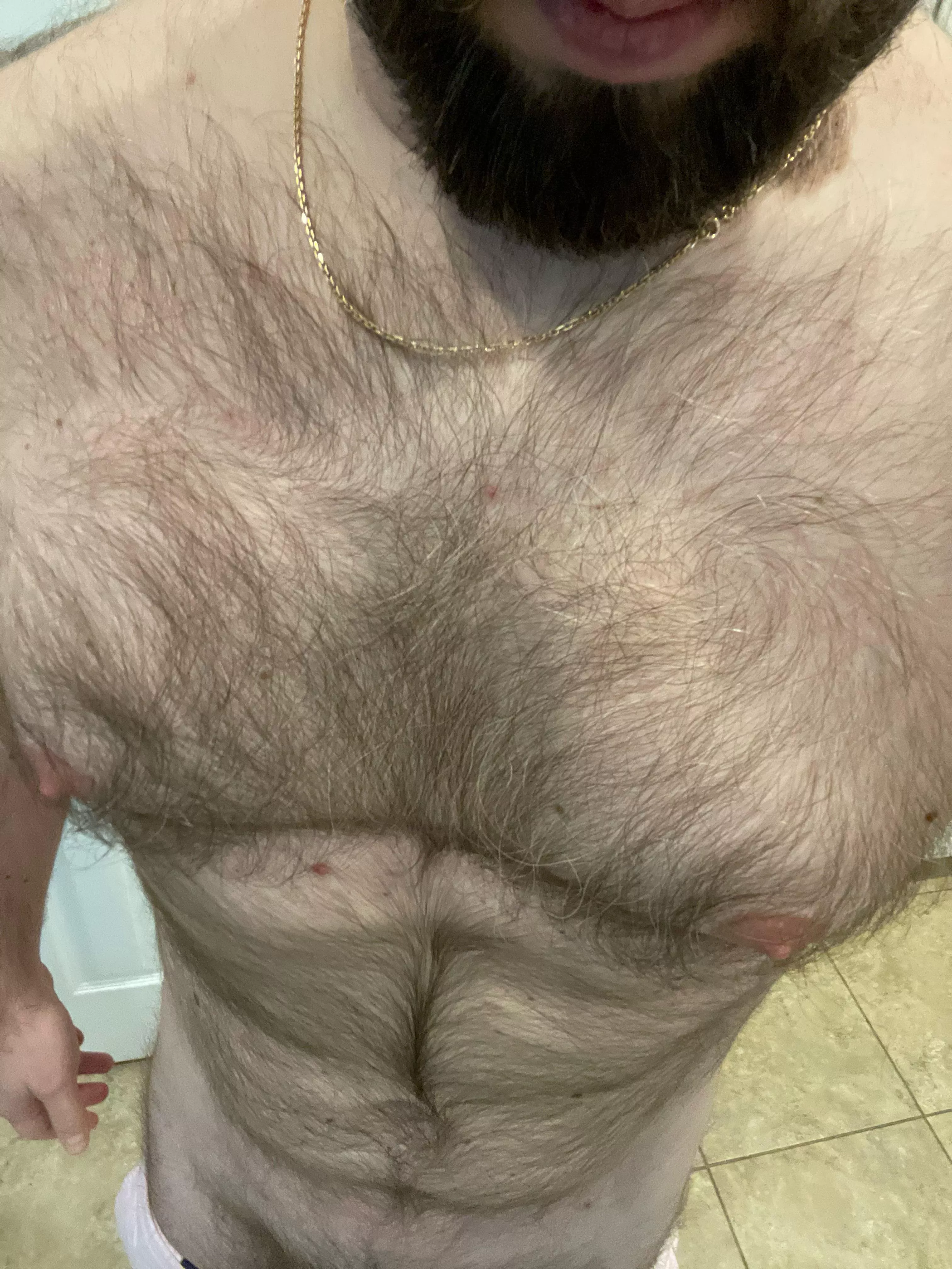 [40] Looking for other hairy men to jerk with. Hit me up.