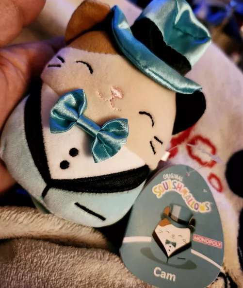 Cam the Sophisticated Cat 😻 