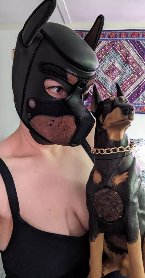 Don't talk to me or my son ever again