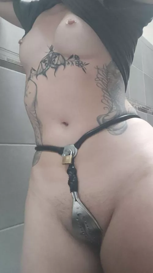 It loves to be locked