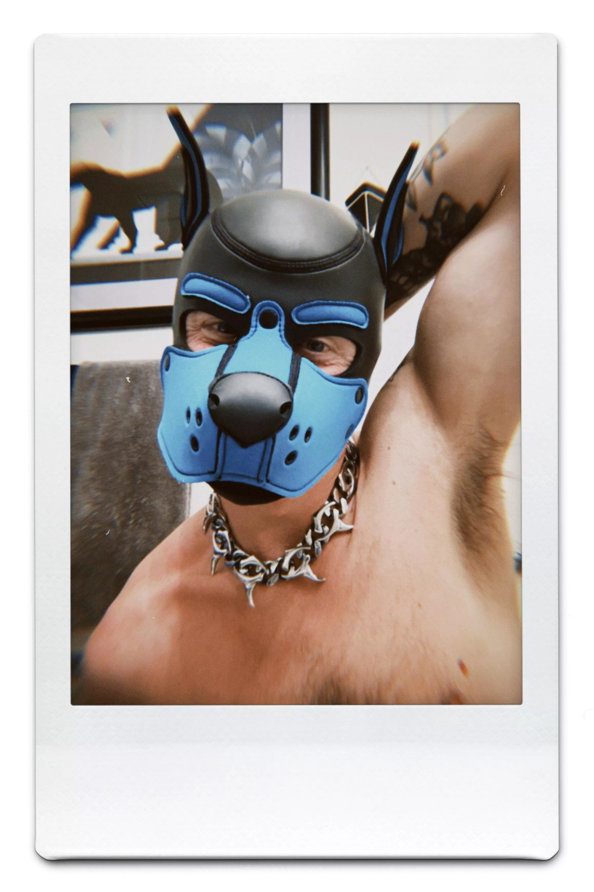 It’s been awhile! Hi!