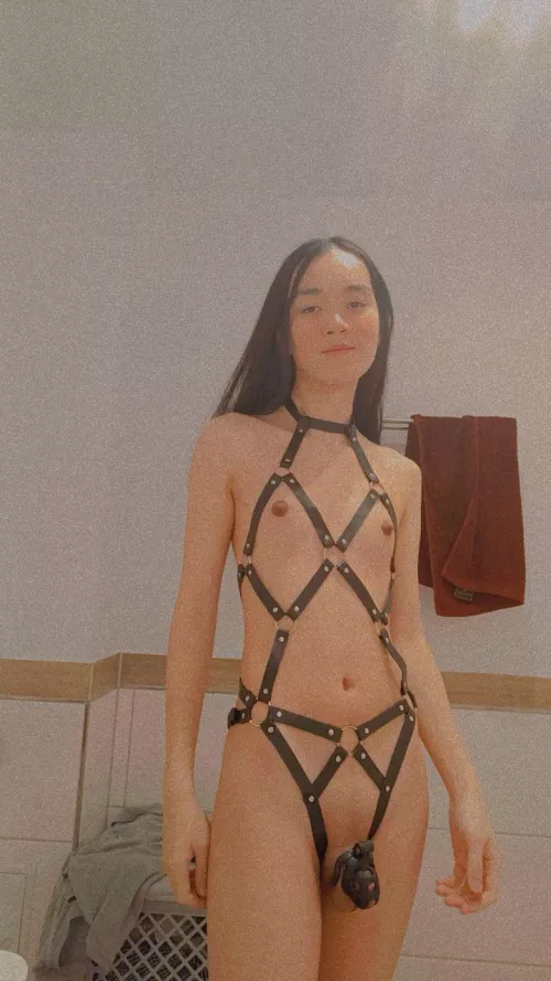 Just got a new cage, my third one! I like it the most!