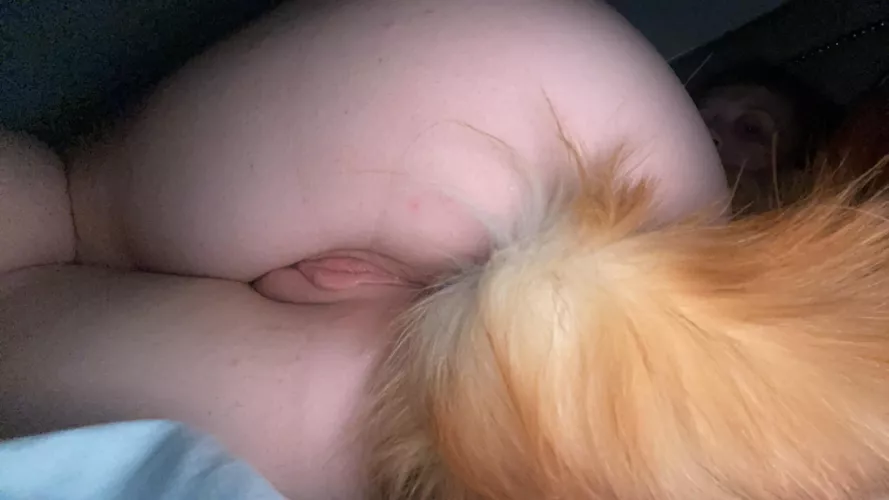 Needy puppy taking a nap.