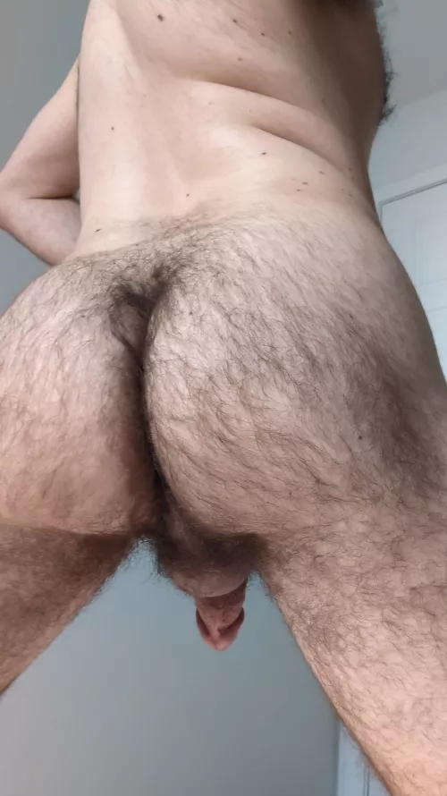 Showing you all my hairy butt, and my penis dangling from behind