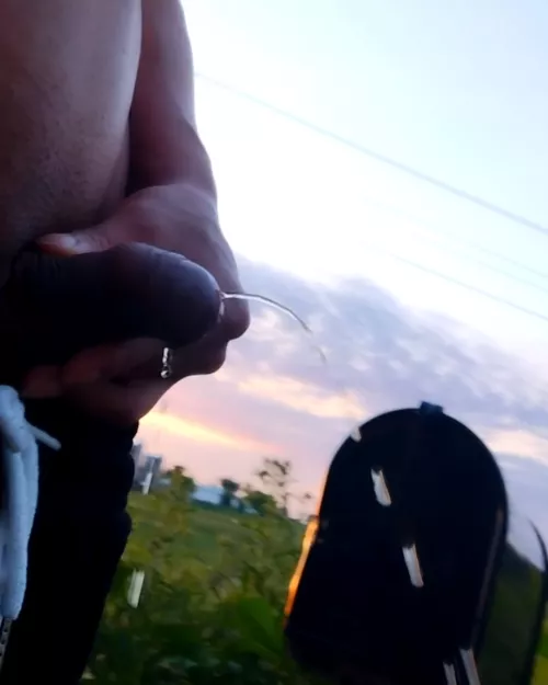 Would you drink me by the mailbox? 