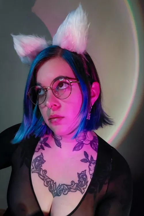 Your pet is craving for some pets