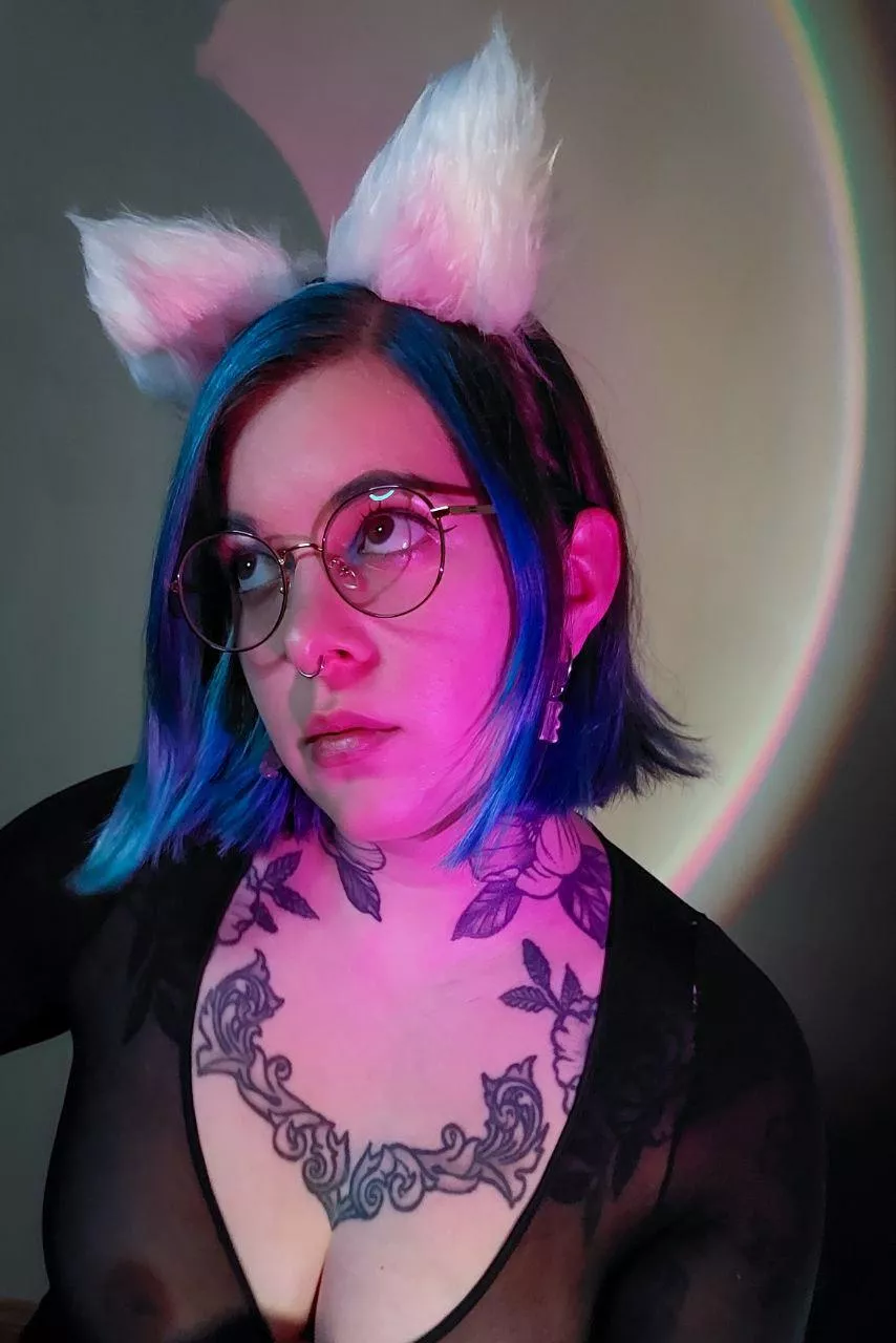 Your pet is craving for some pets