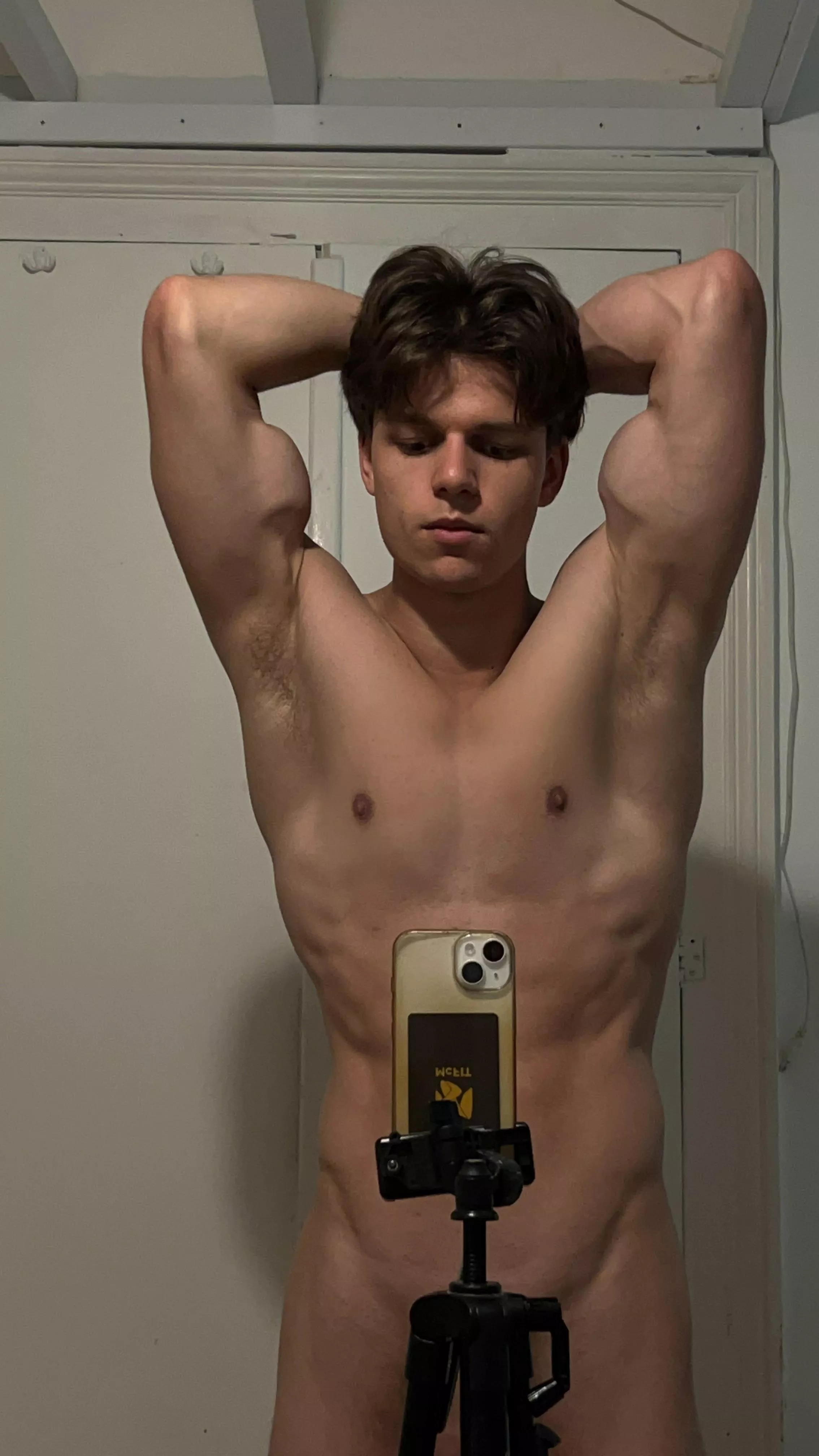 (19)Would you lick my pits?