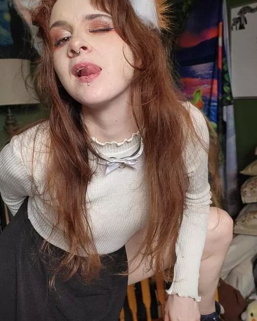 Bad kitty, what to do