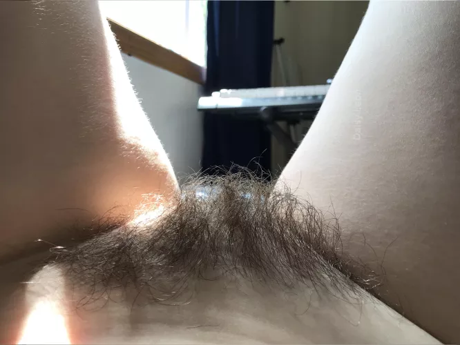 Hairy pussy is the best pussy