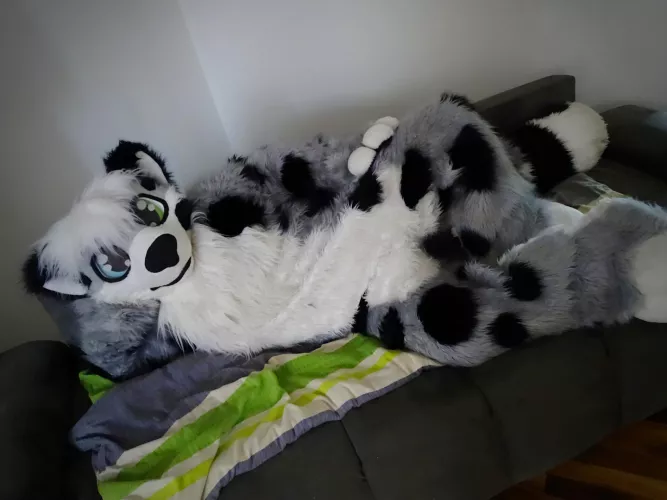 Happy Friday all cute floofs! 🥰